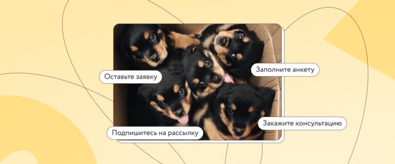 Персональные данные: когда самозанятому нужно согласие клиента